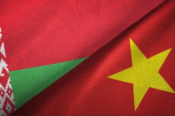 VIETNAM BELARUS INVEST PROMOTE, PROTECTION AGREEMENT